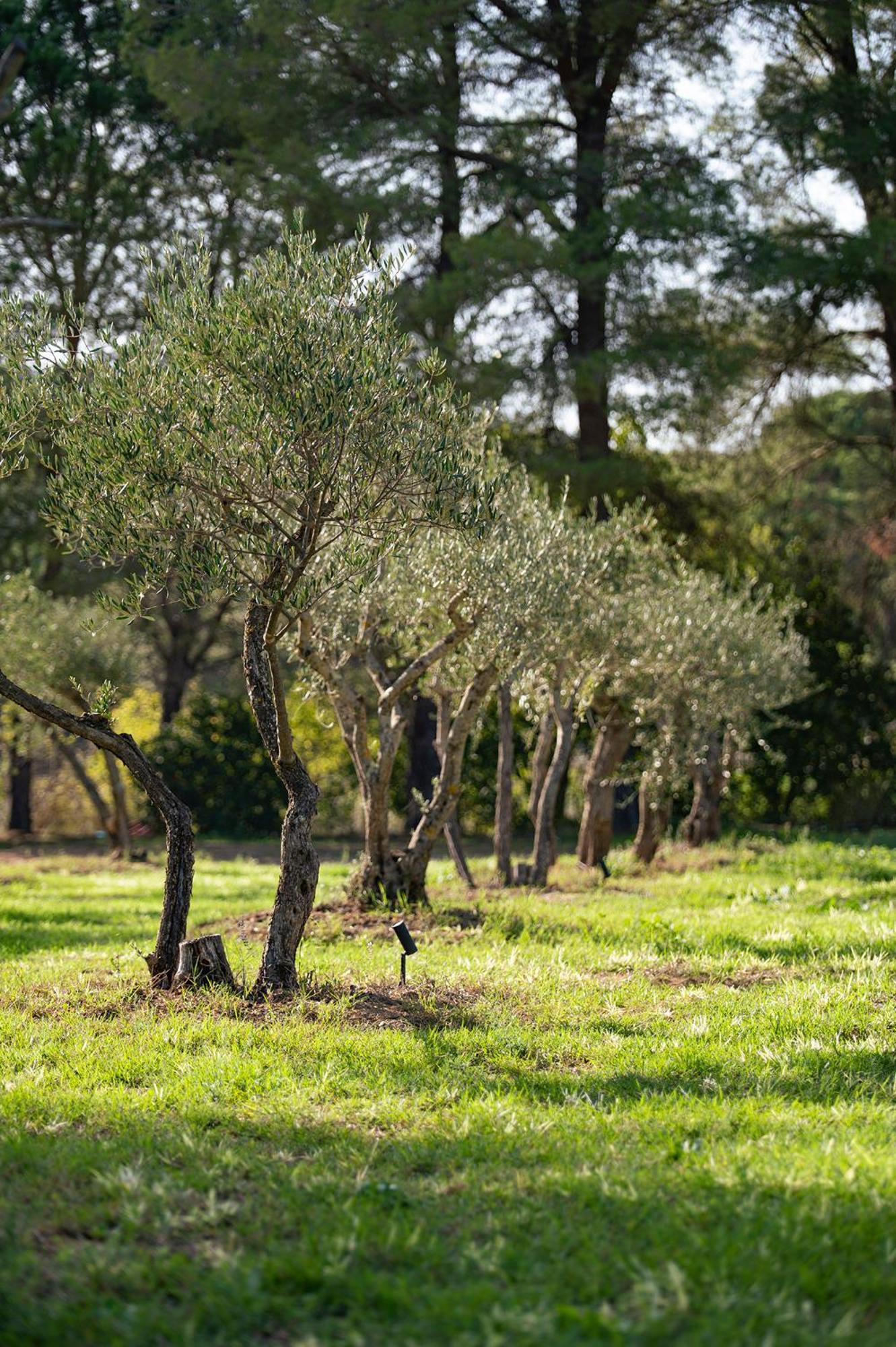 Le Clos De Mansart Grimaud Zewnętrze zdjęcie